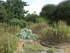 IMG_0385