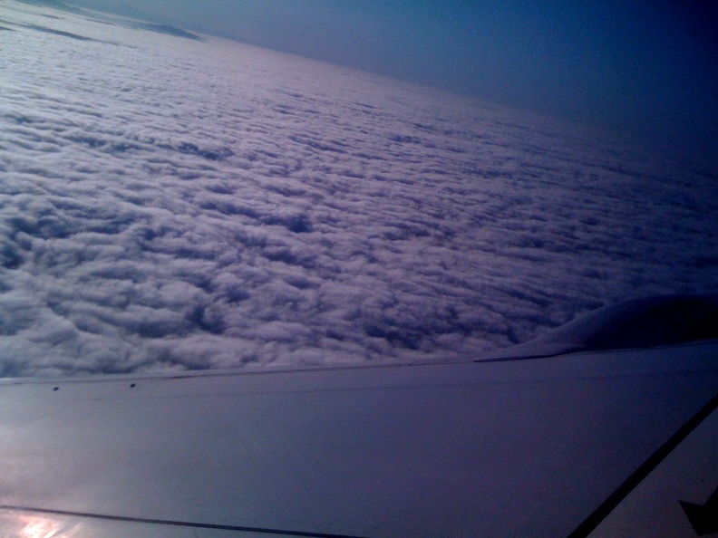flickr-3957931522.jpg