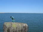 IMG_4075