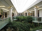 IMG_0620