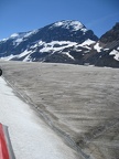 IMG_0525
