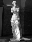 IMG_8205