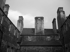 IMG_7871