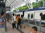 IMG 4296