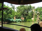 IMG 4560