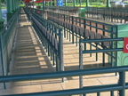IMG 4784