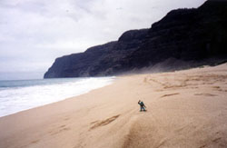 Gorn relaxing on Kauai