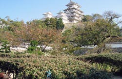 The Gorn in Himeji