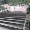 IMG 0296