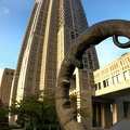 IMG 8561