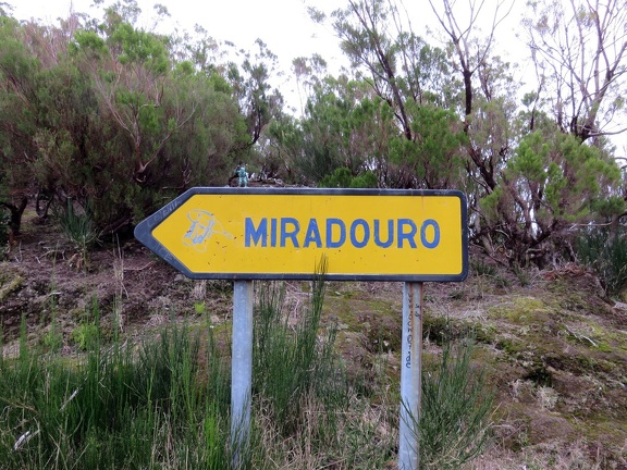 IMG 0080