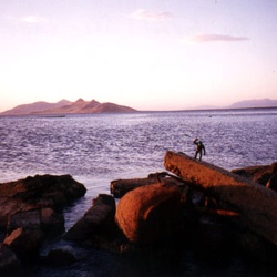 North America 1995