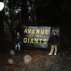 Redwood National Park 1998
