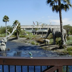 La Brea Tar Pits 2001