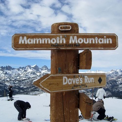 Mammoth 2009