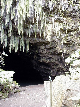 P6120054