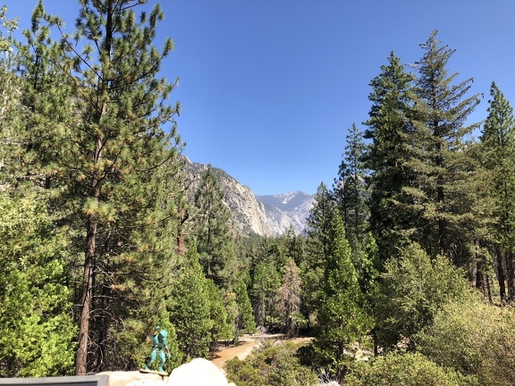 IMG 0550