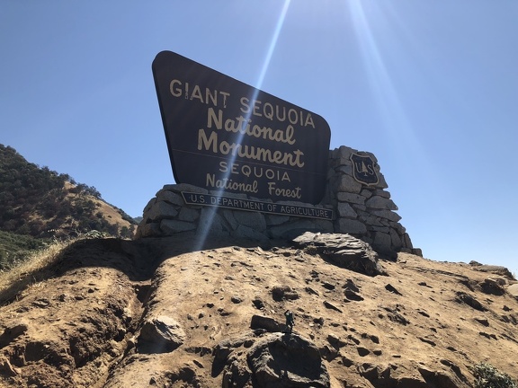 IMG 0515