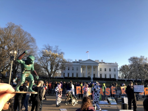 IMG 1342