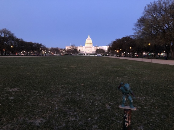 IMG 1360