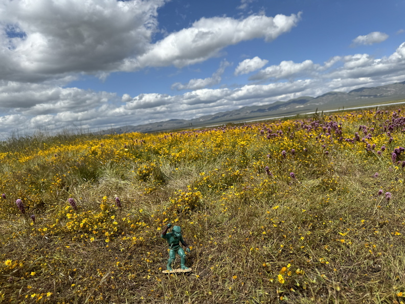Carrizo Plain border=