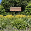 IMG 0574