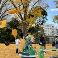IMG 9473