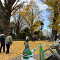 IMG 9477