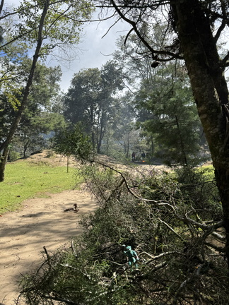 IMG 1758