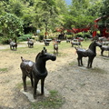 IMG 5536