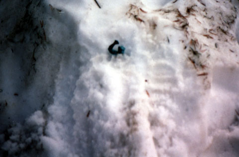 gornsnow