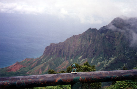 gornnapali